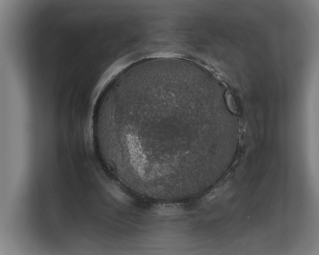 X0000111140296200907071054