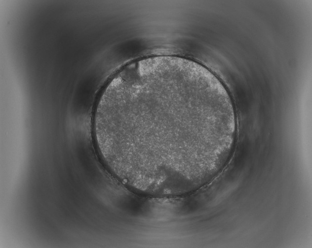 X0000111140297200907071054