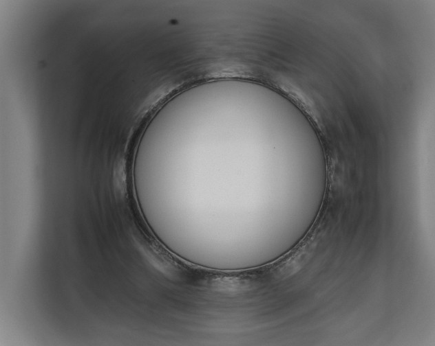 X0000111140298200907071054