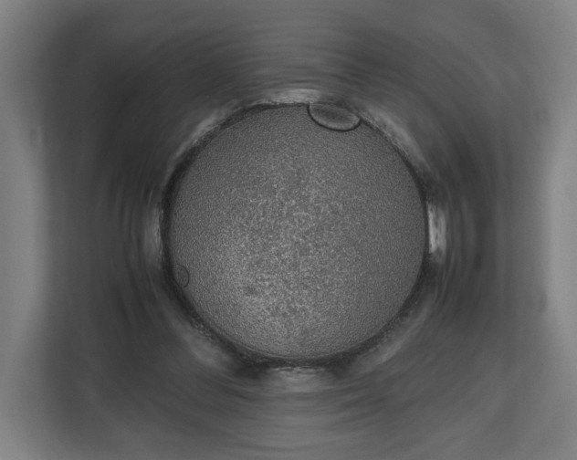 X0000111140300200907071054