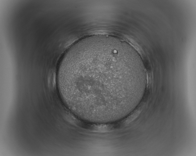 X0000111140301200907071054