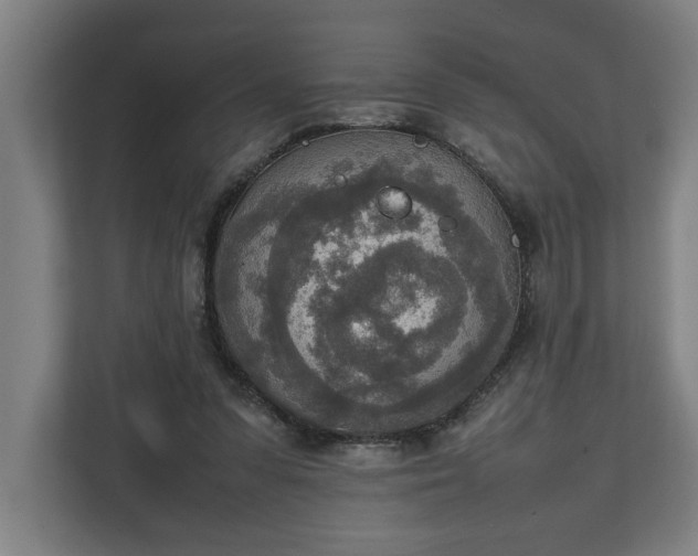 X0000111140303200907071054