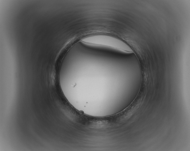 X0000111140304200907071054