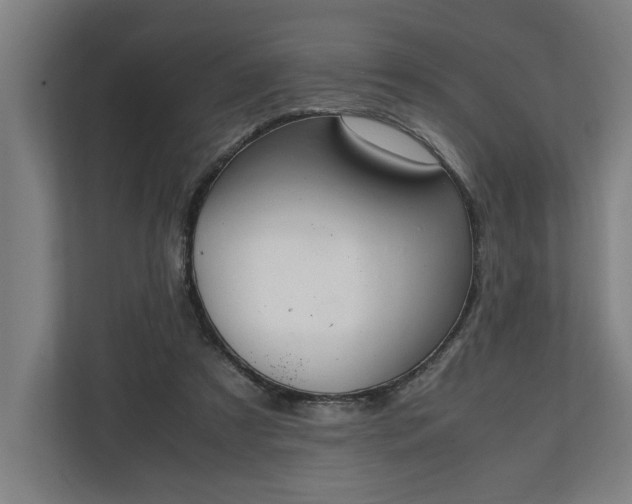 X0000111140305200907071054