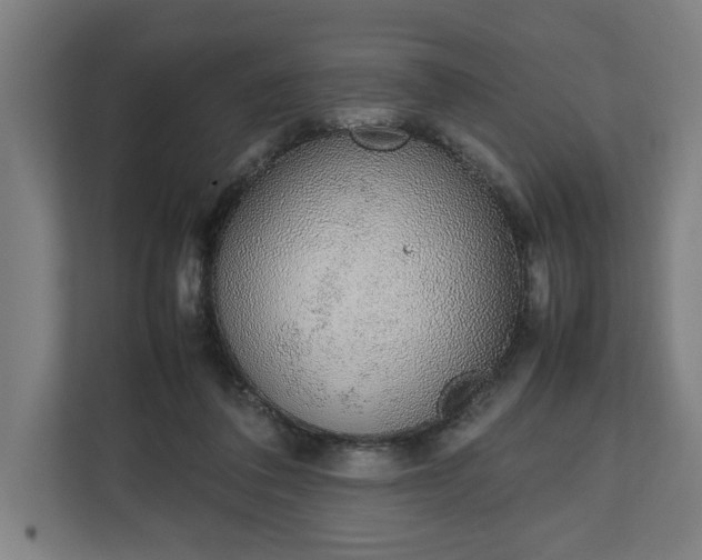 X0000111140308200907071054