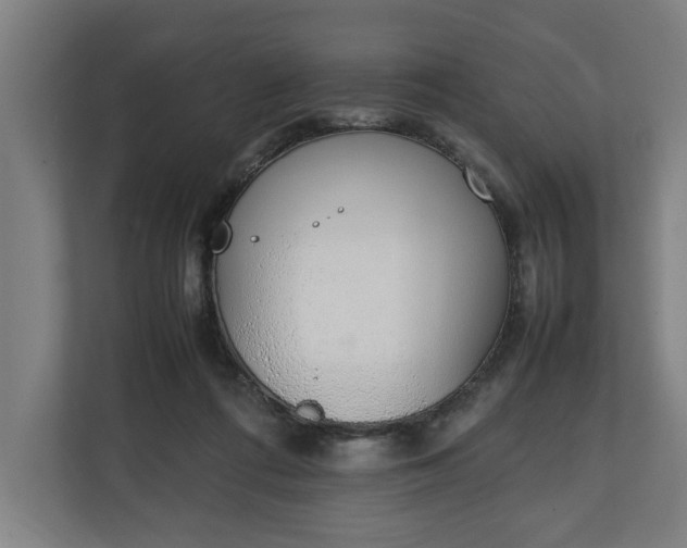 X0000111140312200907071054