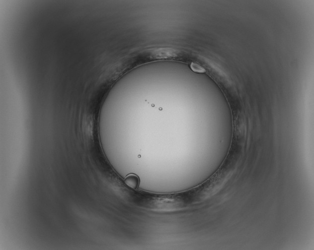 X0000111140315200907071054