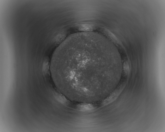 X0000111140322200907071054