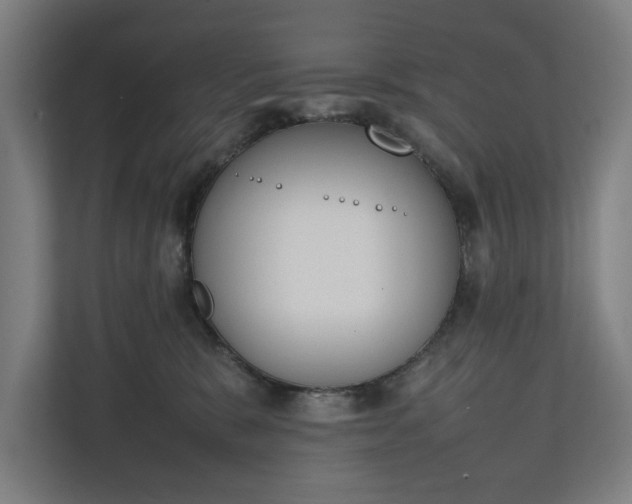 X0000111140327200907071054