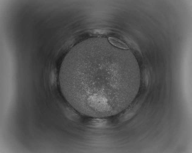 X0000111140328200907071054