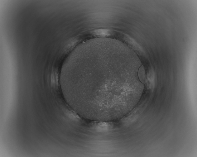 X0000111140330200907071054