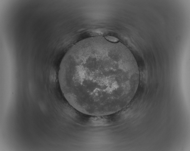 X0000111140331200907071054