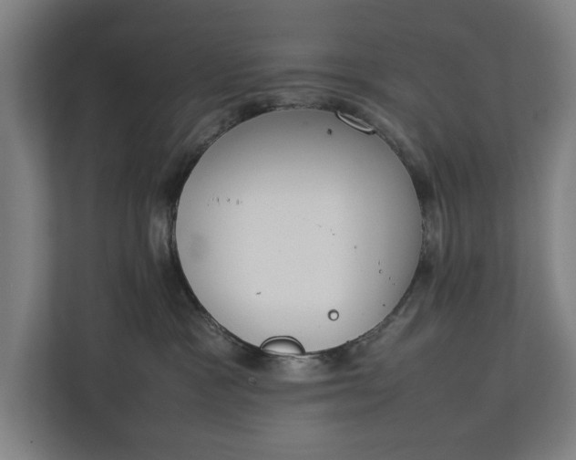 X0000111140333200907071054