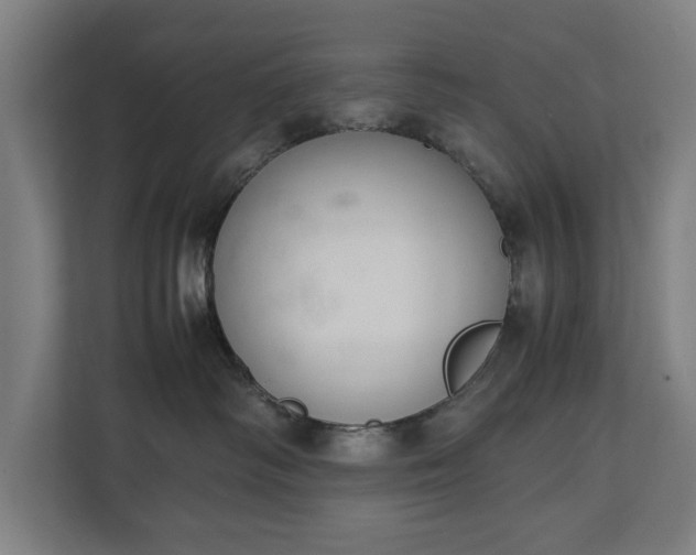 X0000111140334200907071054