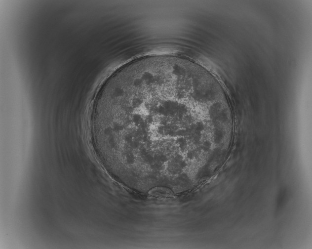 X0000111140337200907071053