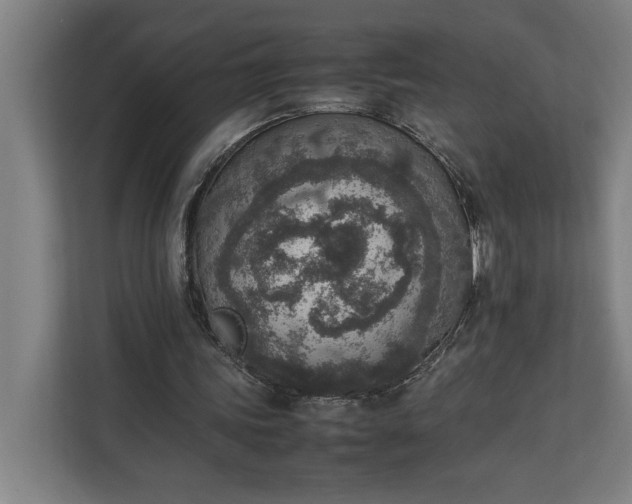 X0000111140339200907071053