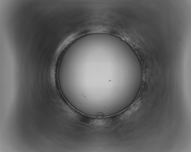 X0000111140341200907071053