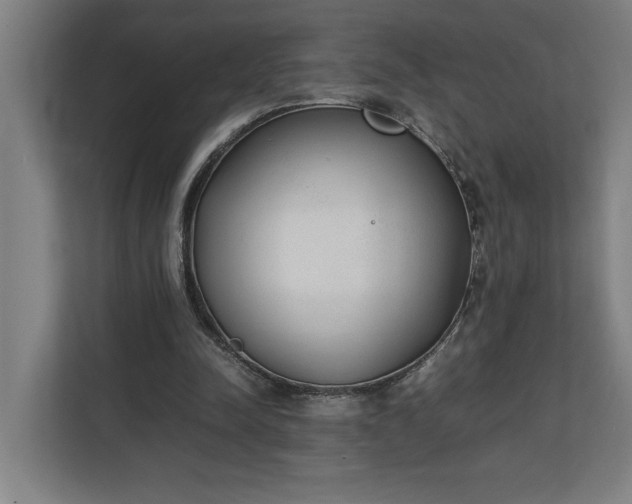 X0000111140342200907071053