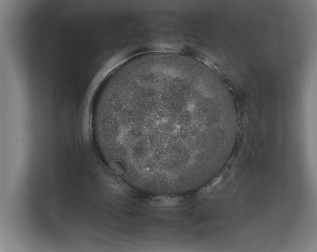 X0000111140343200907071053