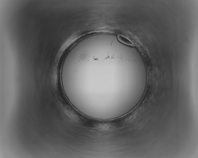 X0000111140344200907071053