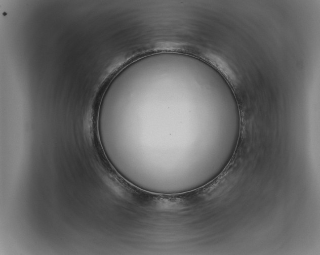 X0000111140346200907071053