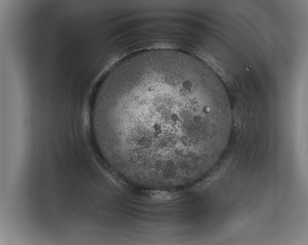 X0000111140347200907071053