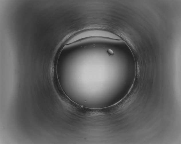 X0000111140348200907071053