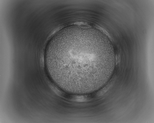 X0000111140349200907071053