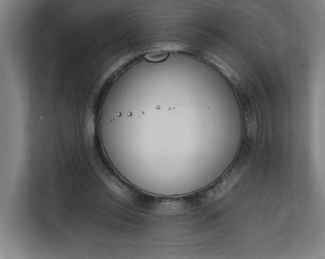 X0000111140350200907071053