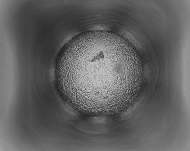 X0000111140351200907071053