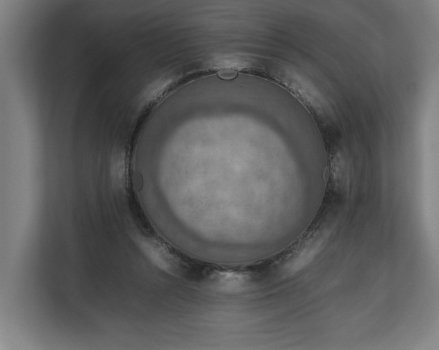 X0000111140352200907071053