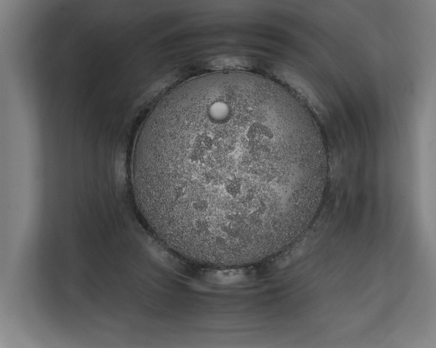 X0000111140353200907071053