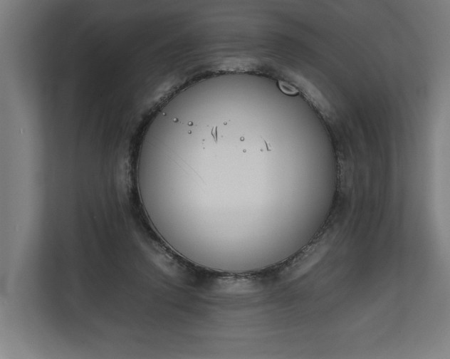 X0000111140354200907071053