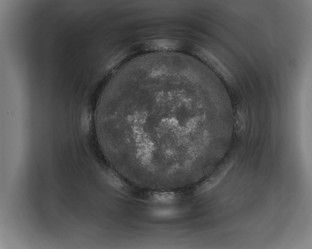 X0000111140355200907071053