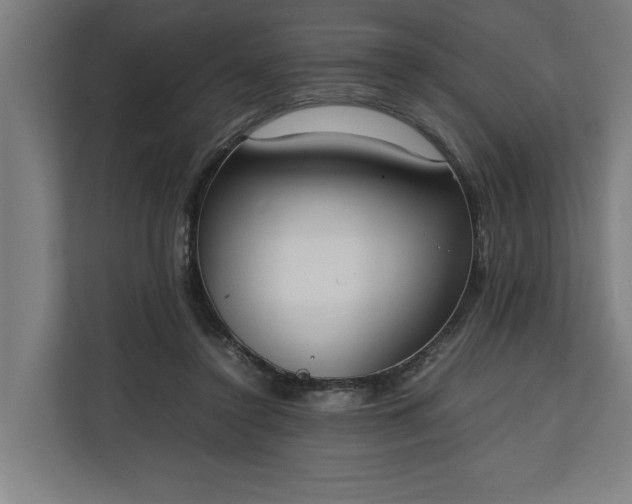 X0000111140356200907071053