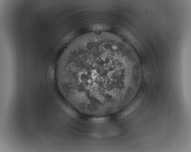 X0000111140357200907071053