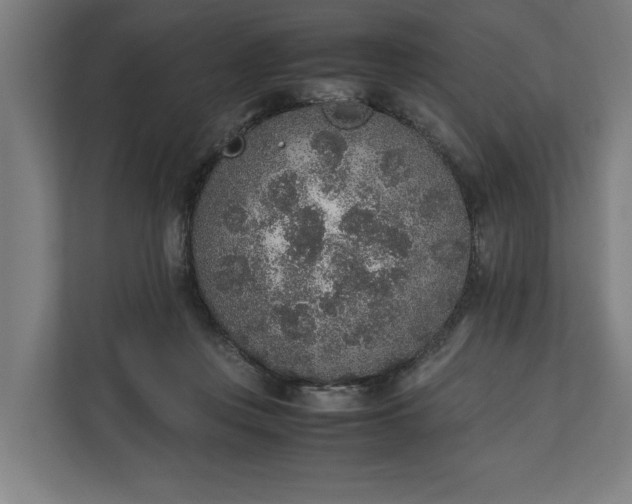 X0000111140359200907071053