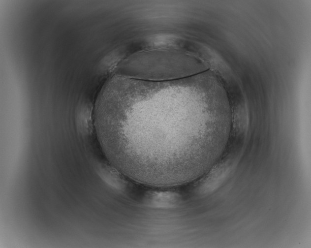 X0000111140360200907071053