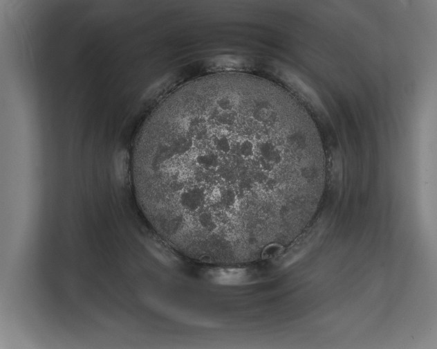 X0000111140361200907071053