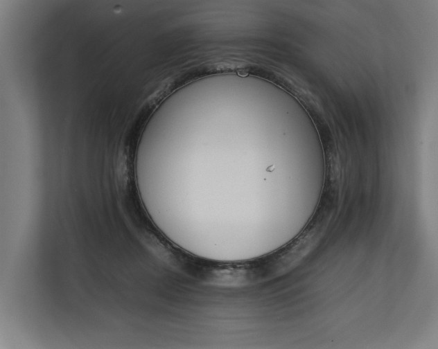 X0000111140362200907071053