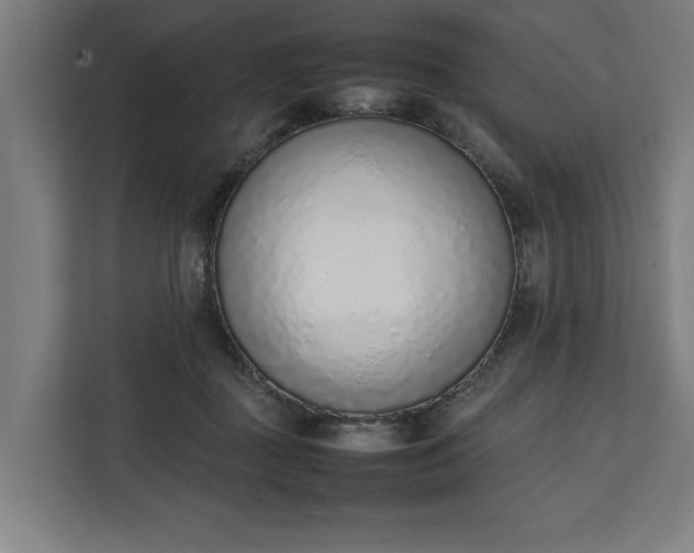 X0000111140363200907071053