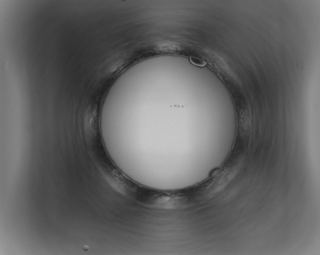 X0000111140364200907071053