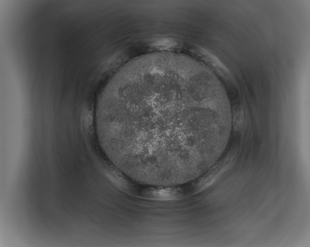 X0000111140365200907071053