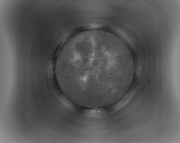 X0000111140366200907071053