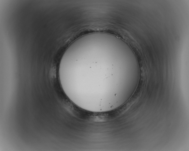 X0000111140368200907071053