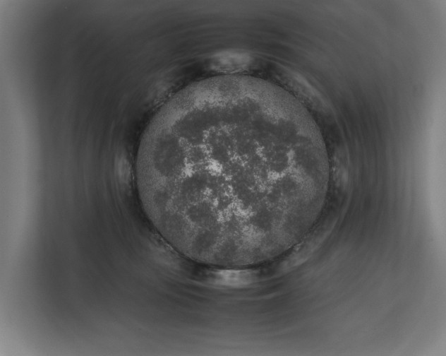 X0000111140371200907071053