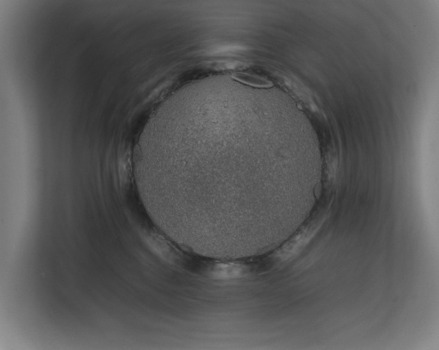 X0000111140376200907071054