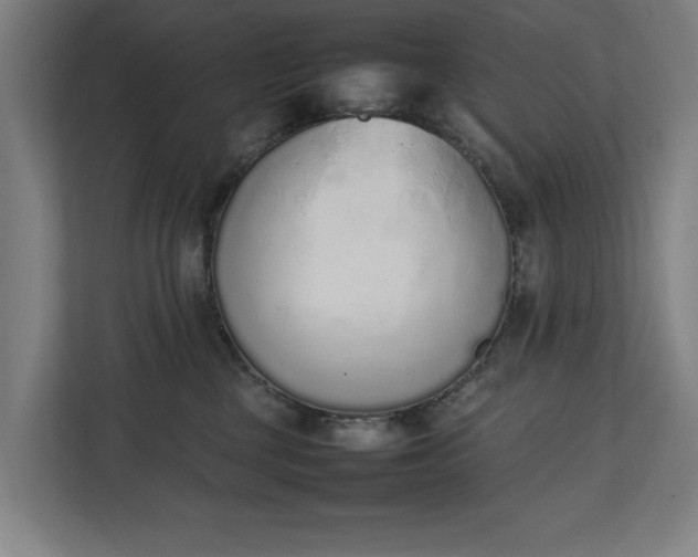 X0000111140377200907071054