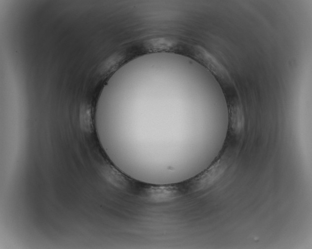 X0000111140378200907071054