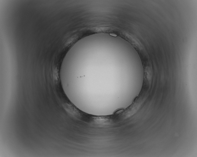 X0000111140380200907071054